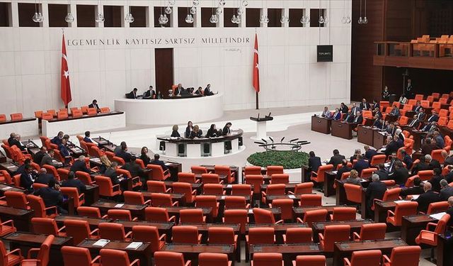 TBMM Genel Kurulu’nda 'cinsel istismar' gerginliği