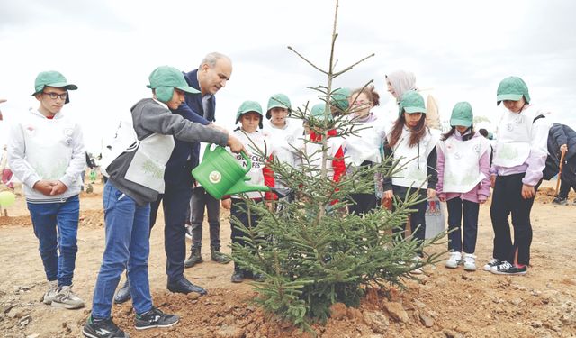 50 bin ağaç toprakla buluştu