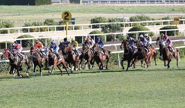 Tüyosu olan kazanır! 30 Kasım at yarışı tahminleri