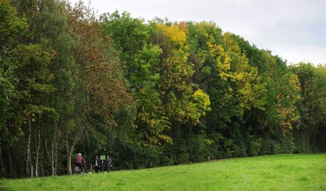 Böğürtlen yedi, can çekişe çekişe öldü!