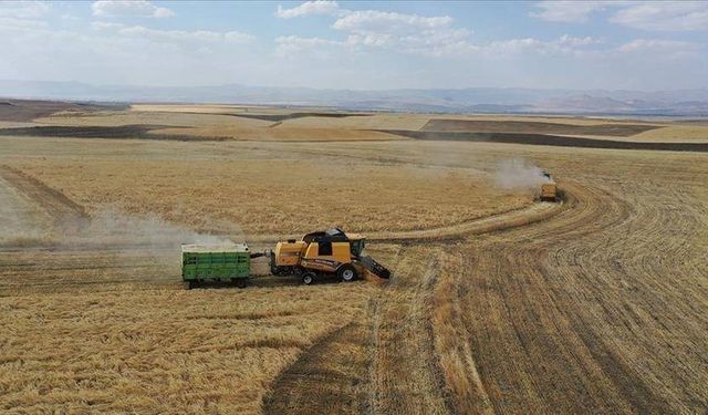 Çiftçilere müjde! Destek ödemeleri bugün hesapta