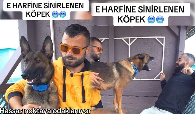 'Eyüp' ismini duyan köpeğin saldırı anı!