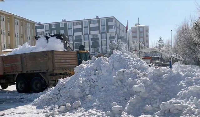 Türkiye'de bir ilk! Ardahan kar ihraç ediyor!