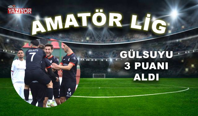 Gülsuyu in Gümüşhane out: 3-0