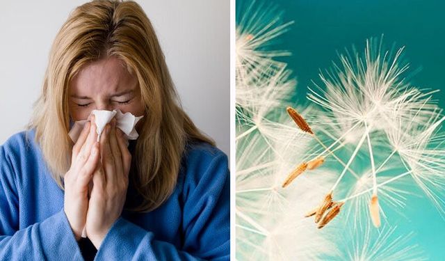 Polen alerjisine dikkat!