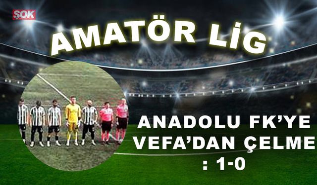 Anadolu FK’ye Vefa’dan çelme: 1-0