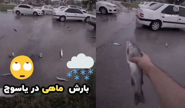 İran'da gökten balık yağdı!