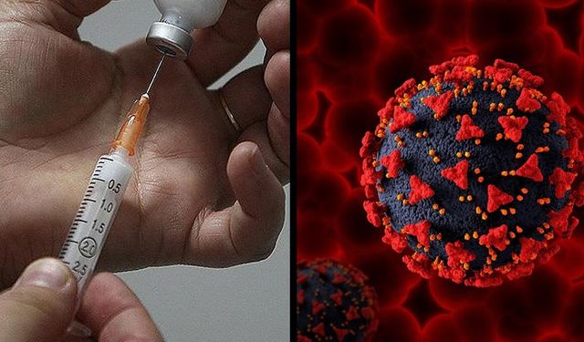 Hepatit B ırkçı çıktı! Asya kökenliler Hepatit B hastalığına daha yatkın