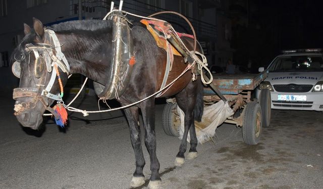 Aydın'da ilginç olay! At arabasını alkollü kullanan sürücüye ceza