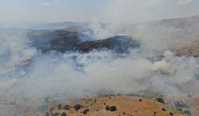 Elazığ'da orman yandı: Çalışmalar devam ediyor