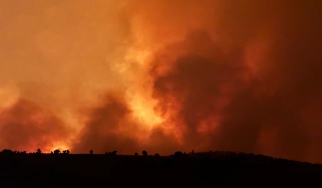 Diyarbakır ve Mardin'deki yangın felaketinin nedeni ortaya çıktı