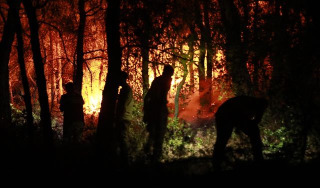 Korkunç görüntüler! Orman Bakanlığı'ndan Kuşadası açıklaması