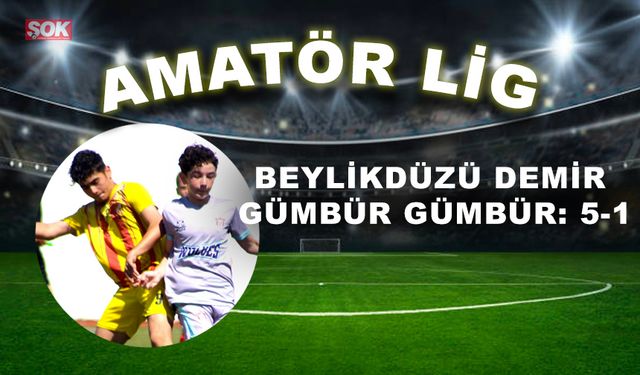 Beylikdüzü Demir gümbür gümbür: 5-1