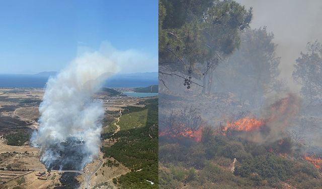 Balıkesir'de korkutan yangın: Büyüyen alevler plaja ve ormanlık alana ilerliyor!