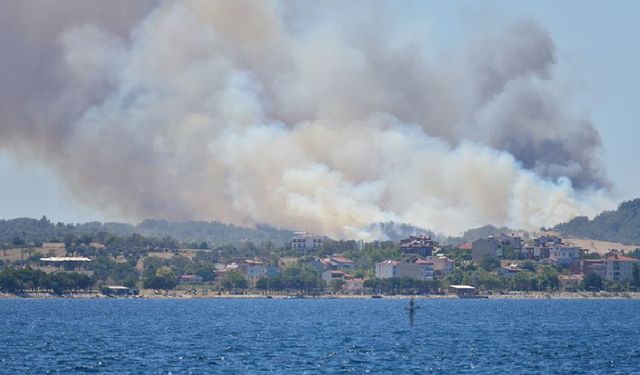 SON DAKİKA! Çanakkale 'de orman yangını.Boğaz kapatıldı