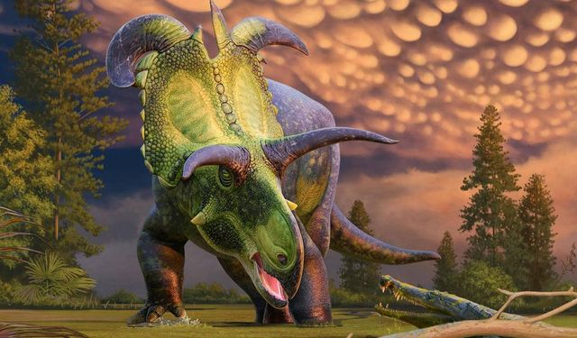 5 tonluk yeni bir dinozor türü bulundu: Dev boynuzları var