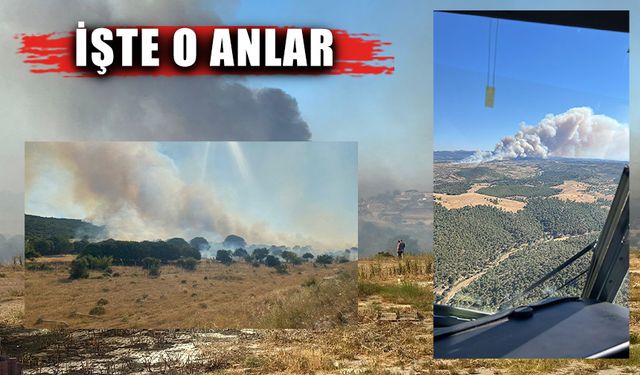 Korkulan oldu, yangın evlere ulaştı! Çanakkale'de yangın felaketi