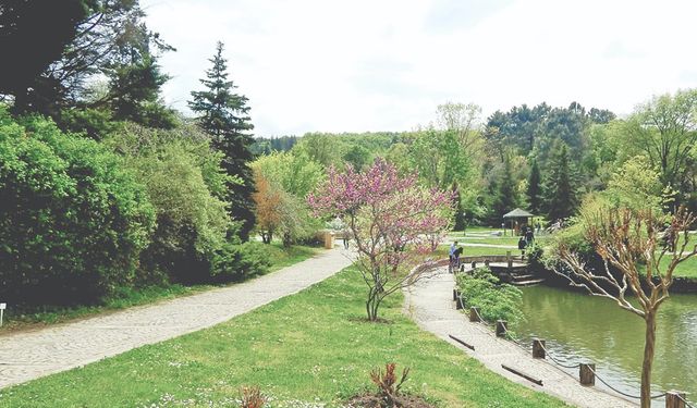 Doğanın Renkli Dünyası: Atatürk Arboretumu