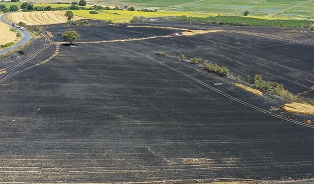 Edirne'de biçerdöverin tutuşması sonucu 100 dekarlık buğday ekili alan yandı