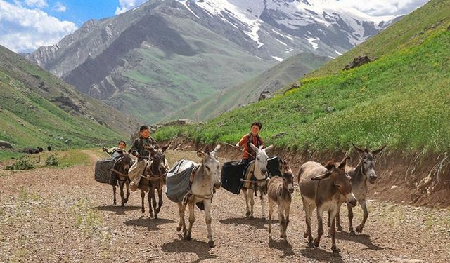 Hakkari'deki Han Yaylası, Şırnaklı göçerleri ağırlıyor