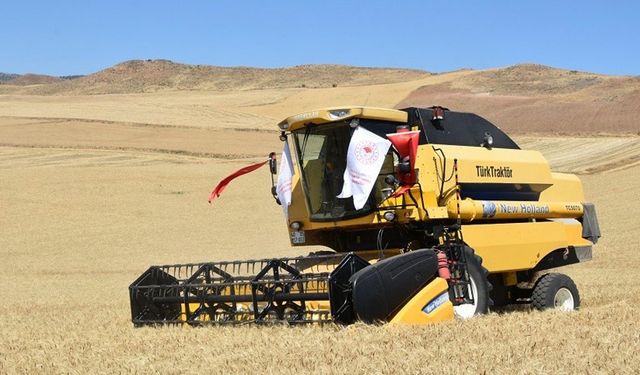 Kırıkkale’de çiftçilerin hasat mesaisi başladı