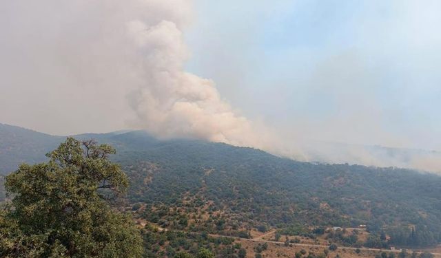 Manisa’da orman yangını!.. Tren seferleri durduruldu