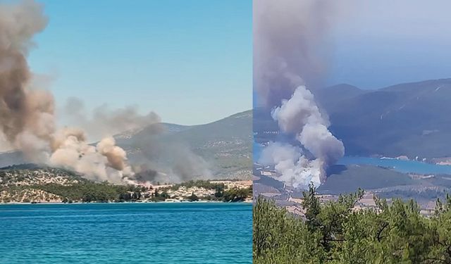 Sıra Muğla'da! Çıkan orman yangınının söndürme çalışmaları devam ediyor!