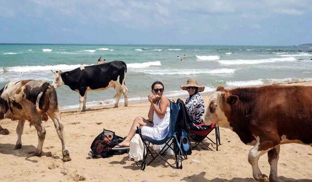 Halk plajları doldu, ’beach’lerde şezlonglar boş kaldı