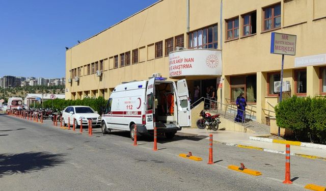 Şanlıurfa’da bir vatandaşı ısıran köpek kuduz çıktı