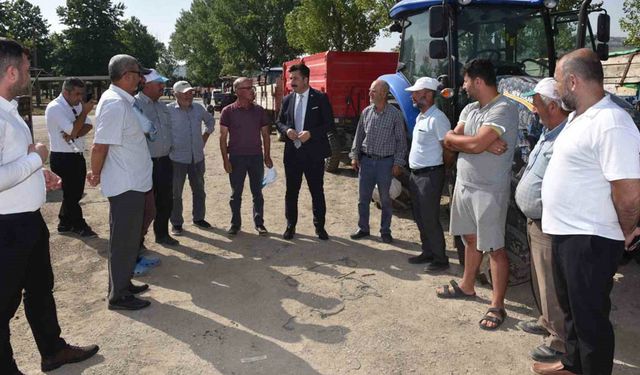 TMO buğday ve arpa alımına başladı