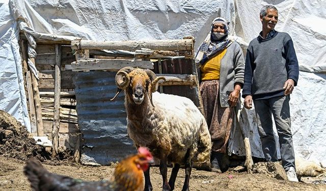 Vanlı besici 30 yıldır 2 bin 500 rakımdaki yaylada koyunlarına bakıyor