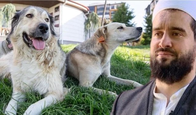 İsmailağa'dan sokak hayvanlarının öldürülmesine destek: 'Sen köpek besleme zevki yaşamak istiyorsan...'