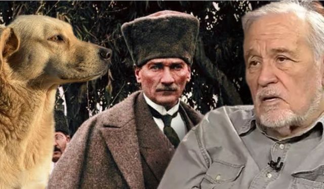 İlber Ortaylı anlattı: Atatürk, sokak köpeği sorununu nasıl çözmüştü?