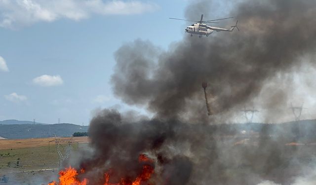 Bir yangın daha: Tuzla'da ormanlık alanda yangın çıktı!