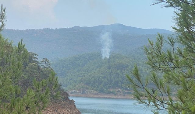 Marmaris'te yıldırım, orman yangını çıkardı