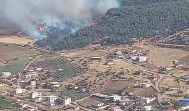 Orman yangını başladı! Manisa yanıyor