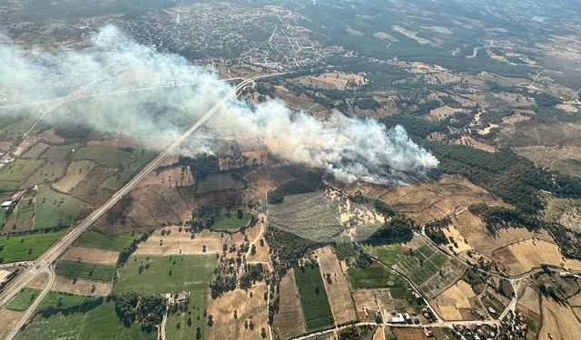 Çanakkale'de orman yangını başladı! Ayvacık yanıyor