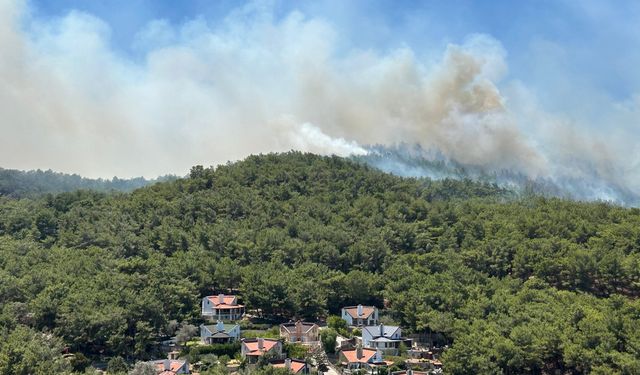 Urla'daki orman yangını boyut atladı: 120 konut tahliye edildi!