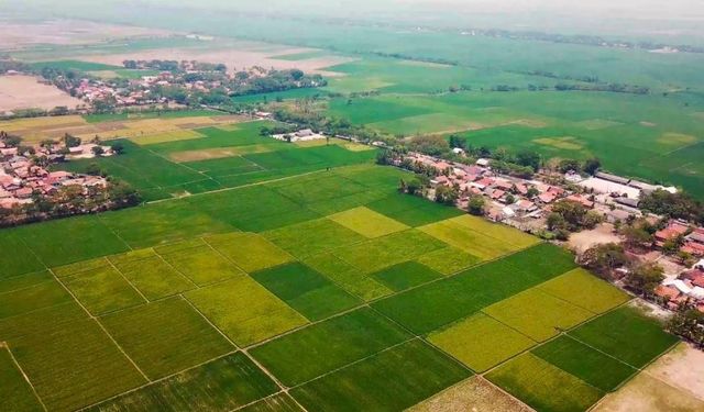 Toprağı veya evi olan yaşadı: İstanbul yerine herkes bu şehre yöneliyor