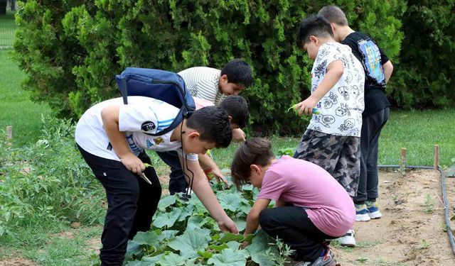 Karatay tabiat mektebi yaz dönemi eğitimleri sürüyor