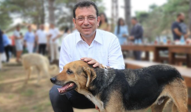 Ekrem İmamoğlu'ndan sokak hayvanları tepkisi