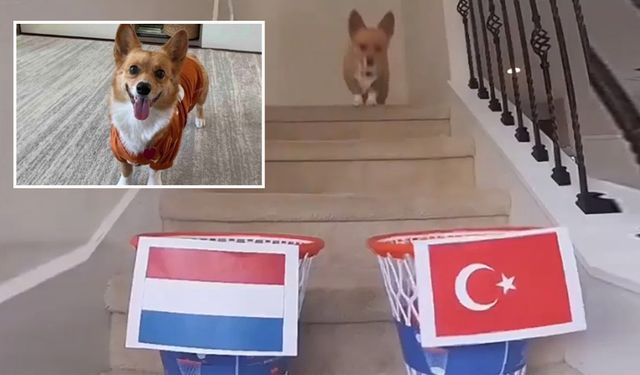 Kahin Köpek Yine iş başında: Türkiye-Hollanda maçının sonucu ne olacak?