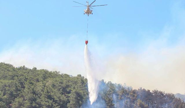 İzmir Bornova'da  orman yangını kontrol altına alınamadı!