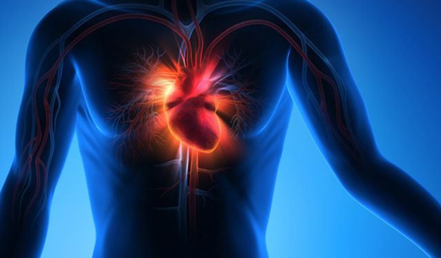 Kovid-19 ve gribe bağlı enfeksiyonlar kalp krizi riskini artırıyor