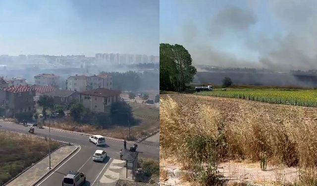 Silivri'de korkutan yangın