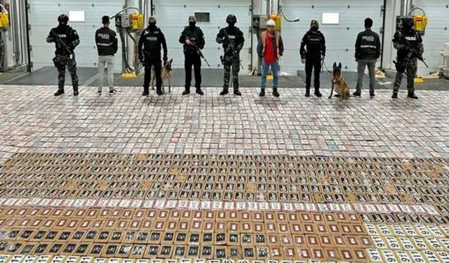 Köpekler muzların arasında 6.23 ton kokain buldu!