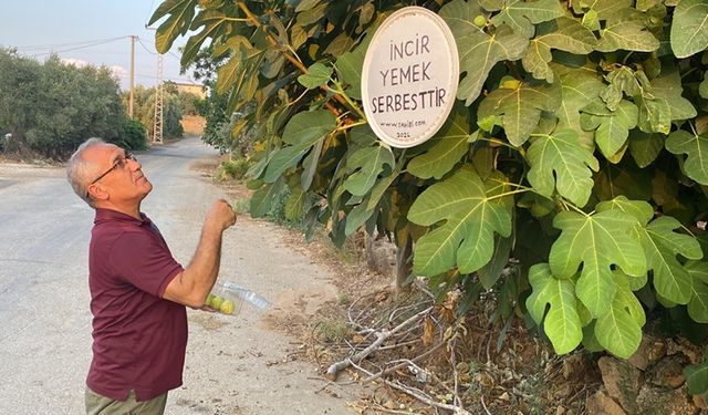 Antalyalı emekli, "incir yemek serbesttir" yazısıyla ikramda bulunuyor