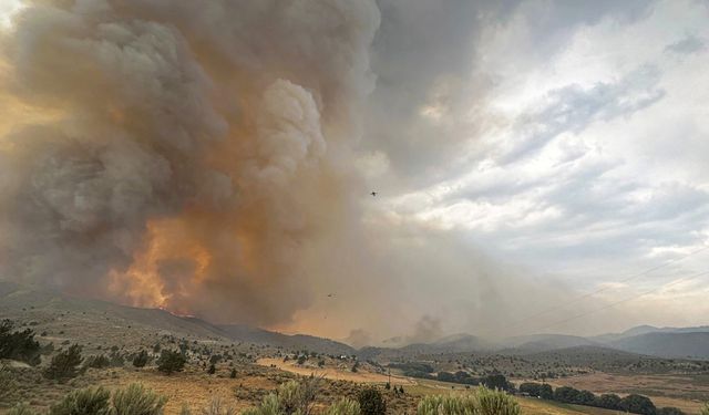 Orman yangınına müdahale ediyordu: Pilot ölü bulundu