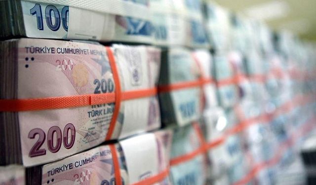 Bankacılık sektörünün net karı haziranda 314 milyar lira oldu