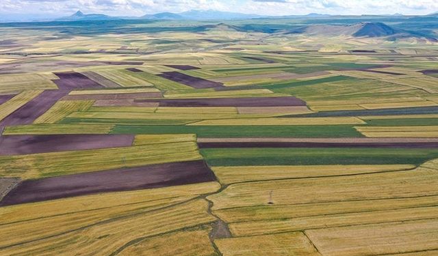 Uzmanlar arsa ve tarla alırken dikkat edilmesi gerekenleri açıkladı